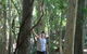 Bay Of Islands Holiday Homes - thumb 4