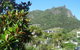 Manaia View - thumb 8