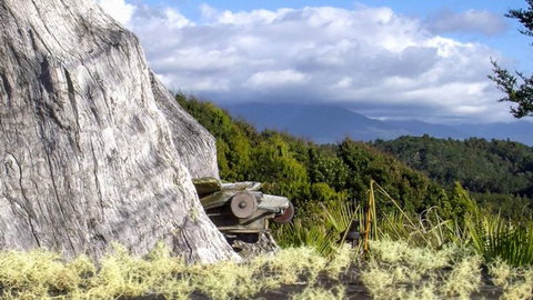 Ferry Man's Cottage - Accommodation New Zealand 5