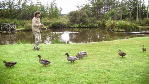 Ferry Man's Cottage - Accommodation New Zealand 6
