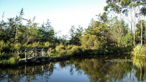 Ferry Man's Cottage - Accommodation New Zealand 10