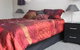 Fiordland Holiday Houses - thumb 16