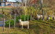 The Gates Accommodation - thumb 5