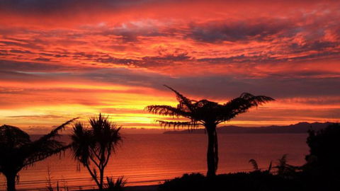 Adrift In Golden Bay - Beachfront Cottages - Accommodation New Zealand 2