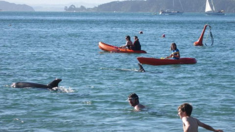 Tapeka Del Mar Beachfront Holiday Home - Accommodation New Zealand 19