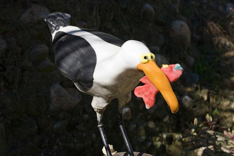 Captain's Cottage - Nelson Waterfront Character Cottage - Accommodation New Zealand 5