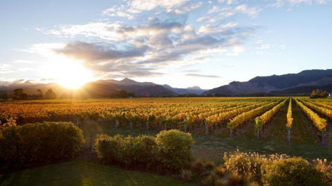 Vintners Retreat  - Accommodation New Zealand 3