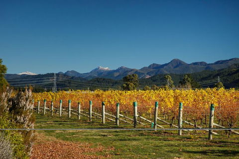 Vintners Retreat  - Accommodation New Zealand 14