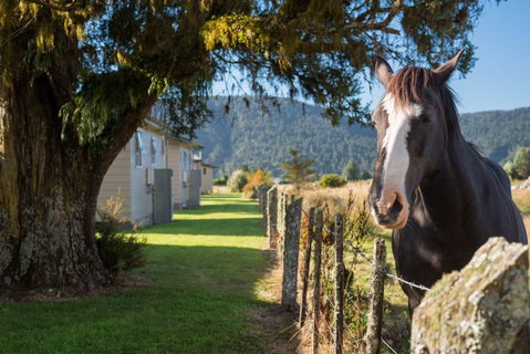 Fox Glacier TOP 10 Holiday Park & Motels - Accommodation New Zealand 12