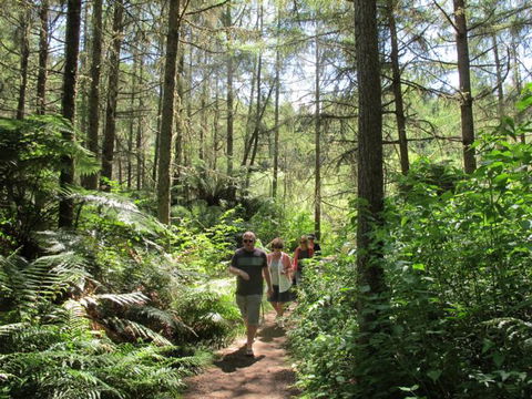 Blue Lake TOP 10 Holiday Park - Accommodation New Zealand 7