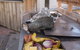 Cosy Cottage Thermal Holiday Park - Rotorua - thumb 4