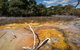 Cosy Cottage Thermal Holiday Park - Rotorua - thumb 5
