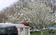 Palmerston North Holiday Park - thumb 1