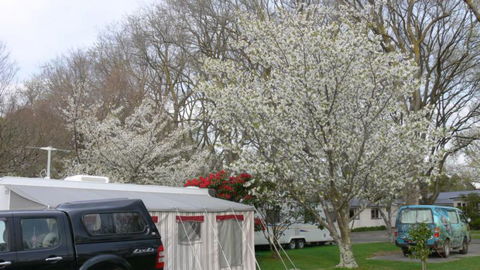 Palmerston North Holiday Park - Accommodation New Zealand 1