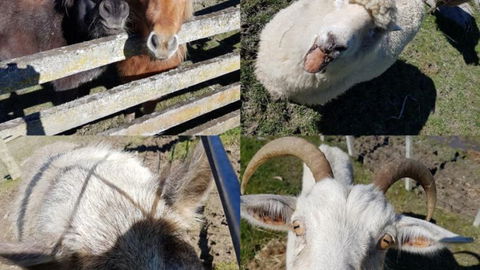 Flat Hills Tourist Park - Accommodation New Zealand 9