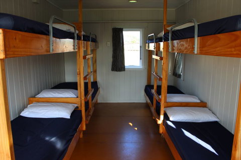 Levin Kiwi Holiday Park - Accommodation New Zealand 7