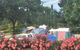 Clutha Gold Cottages - thumb 1
