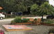 Clutha Gold Cottages - thumb 2