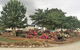 Clutha Gold Cottages - thumb 6