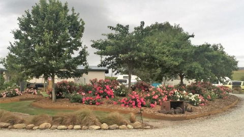 Clutha Gold Cottages - Accommodation New Zealand 6