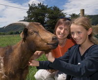 Smiths Farm Holiday Park