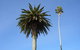 Opotiki Holiday Park - thumb 2
