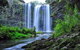 Whangarei Falls Holiday Park & Backpackers - thumb 0