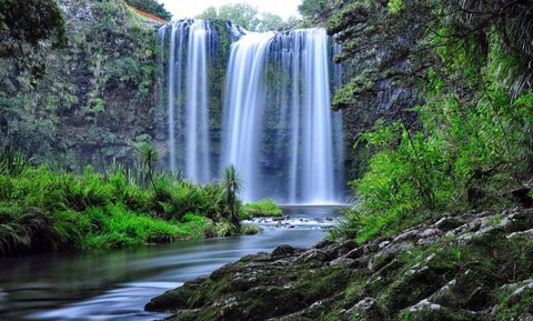 Whangarei Falls Holiday Park & Backpackers - Accommodation New Zealand 0