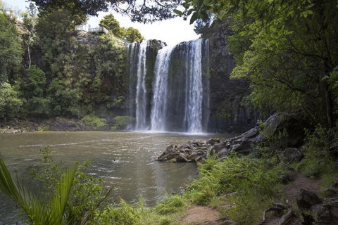 Whangarei Falls Holiday Park & Backpackers - Accommodation New Zealand 15