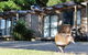 Russell - Orongo Bay Holiday Park - thumb 1