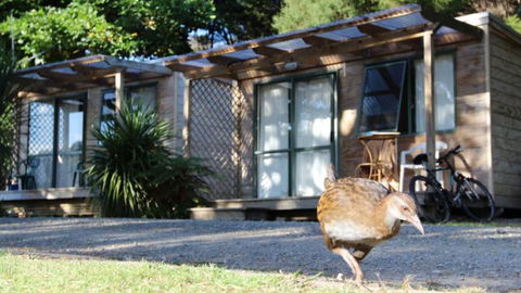 Russell - Orongo Bay Holiday Park - Accommodation New Zealand 1