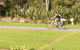 Russell - Orongo Bay Holiday Park - thumb 3
