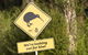 Russell - Orongo Bay Holiday Park - thumb 10