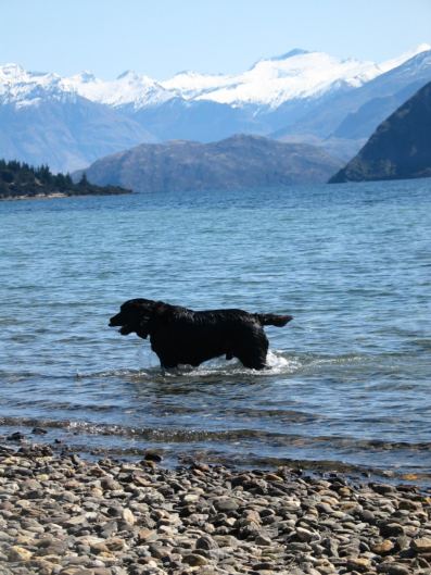 Lake Outlet Holiday Park - Accommodation New Zealand 3