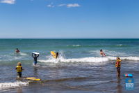 Ohiwa Beach Holiday Park