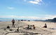 Ohiwa Beach Holiday Park - thumb 13