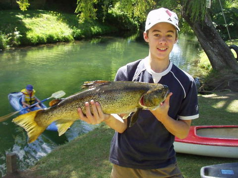 Waiteti Trout Stream Holiday Park - Accommodation New Zealand 1
