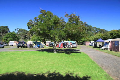 Orua Bay Beach Motor Camp & Accommodation
