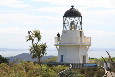 Orua Bay Beach Motor Camp & Accommodation - Accommodation New Zealand 2