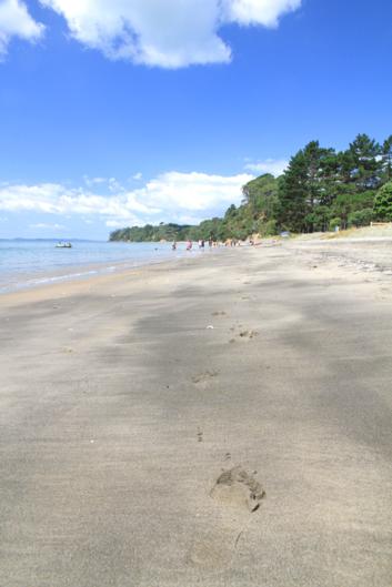 Orua Bay Beach Motor Camp & Accommodation - Accommodation New Zealand 5