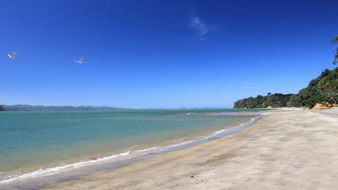 Orua Bay Beach Motor Camp & Accommodation - Accommodation New Zealand 7