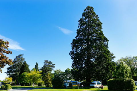 Geraldine TOP 10 Holiday Park - Accommodation New Zealand 0