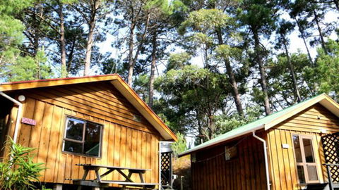 Opoutere Coastal Camping - Accommodation New Zealand 3