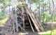 Opoutere Coastal Camping - thumb 5