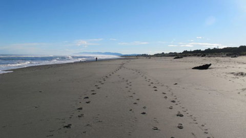 Kiwi Park Motels - Accommodation New Zealand 4