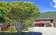 Picton Campervan Park - thumb 0