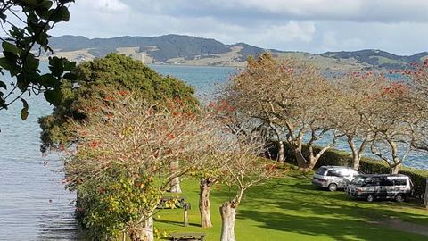 Blue Heron Holiday Park - Accommodation New Zealand 3