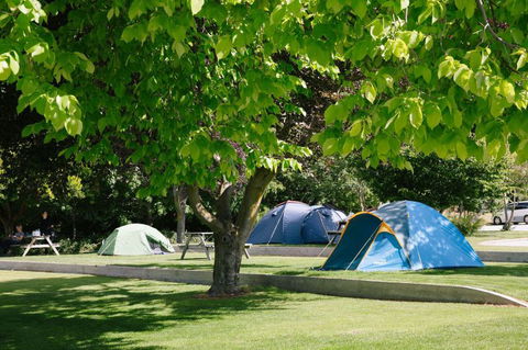 Kaingahoa Camping Reserve - Accommodation New Zealand 3