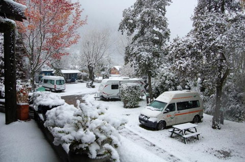 Queenstown Holiday Park & Motels Creeksyde - Accommodation New Zealand 1