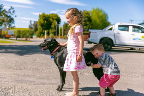 North South Holiday Park - Accommodation New Zealand 16